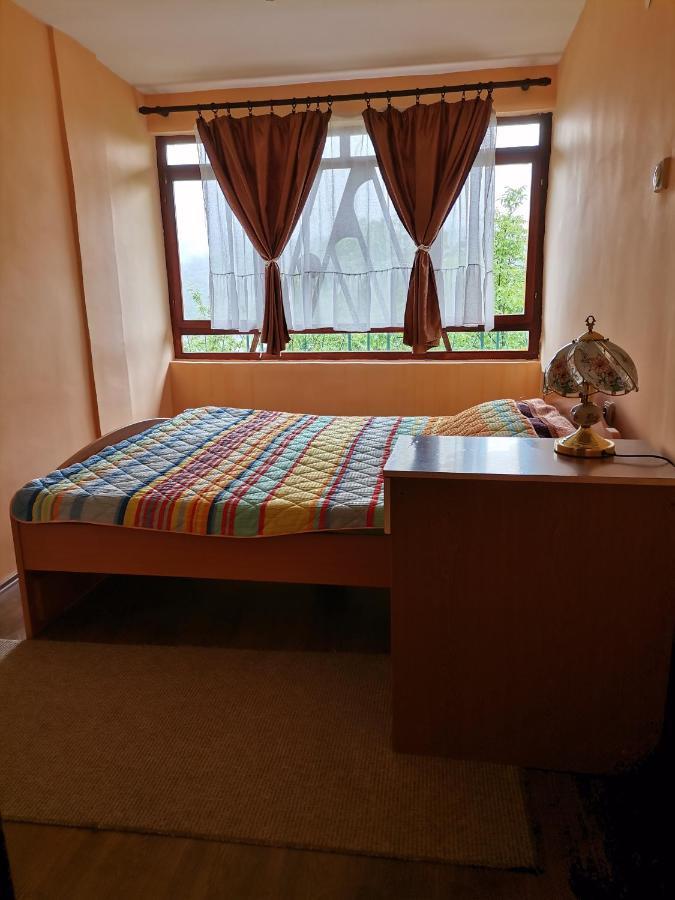 Zavojsko Jezero Pirot - Smestaj Manic Guest House Gostusa Exterior photo